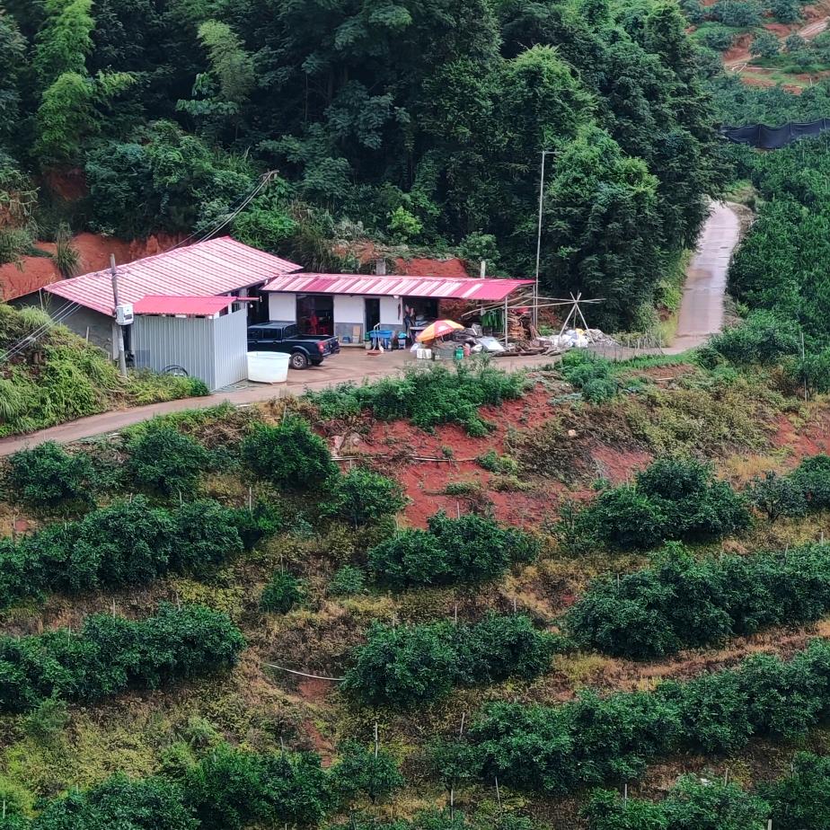 福建永安小陶镇吉源家庭农场
