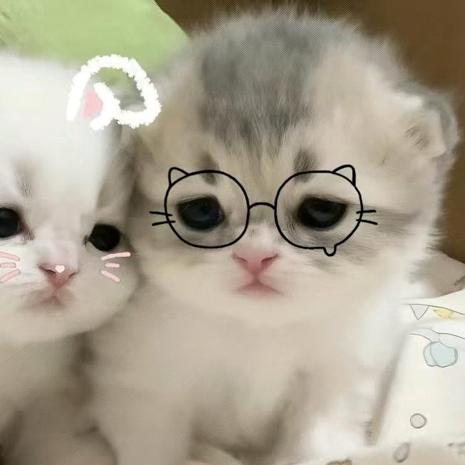 鱼喜欢吃鱼