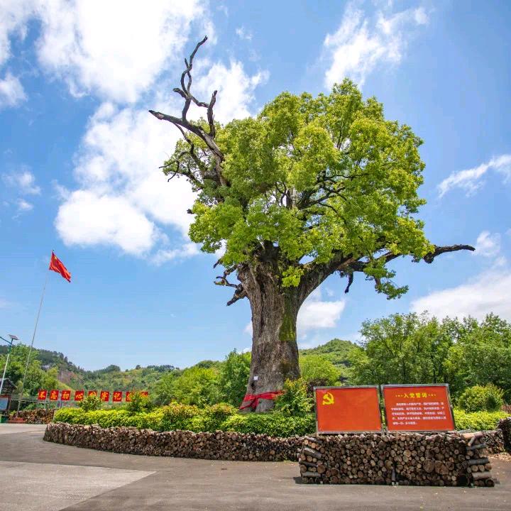 红韵溪口