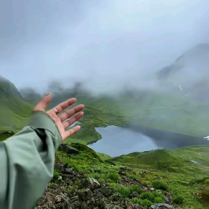 胜岸浮华