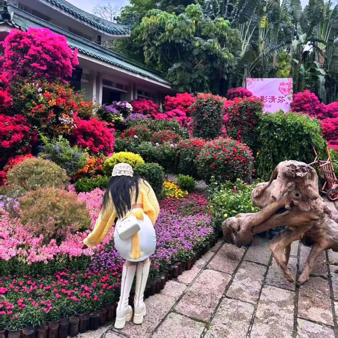 种自己的花