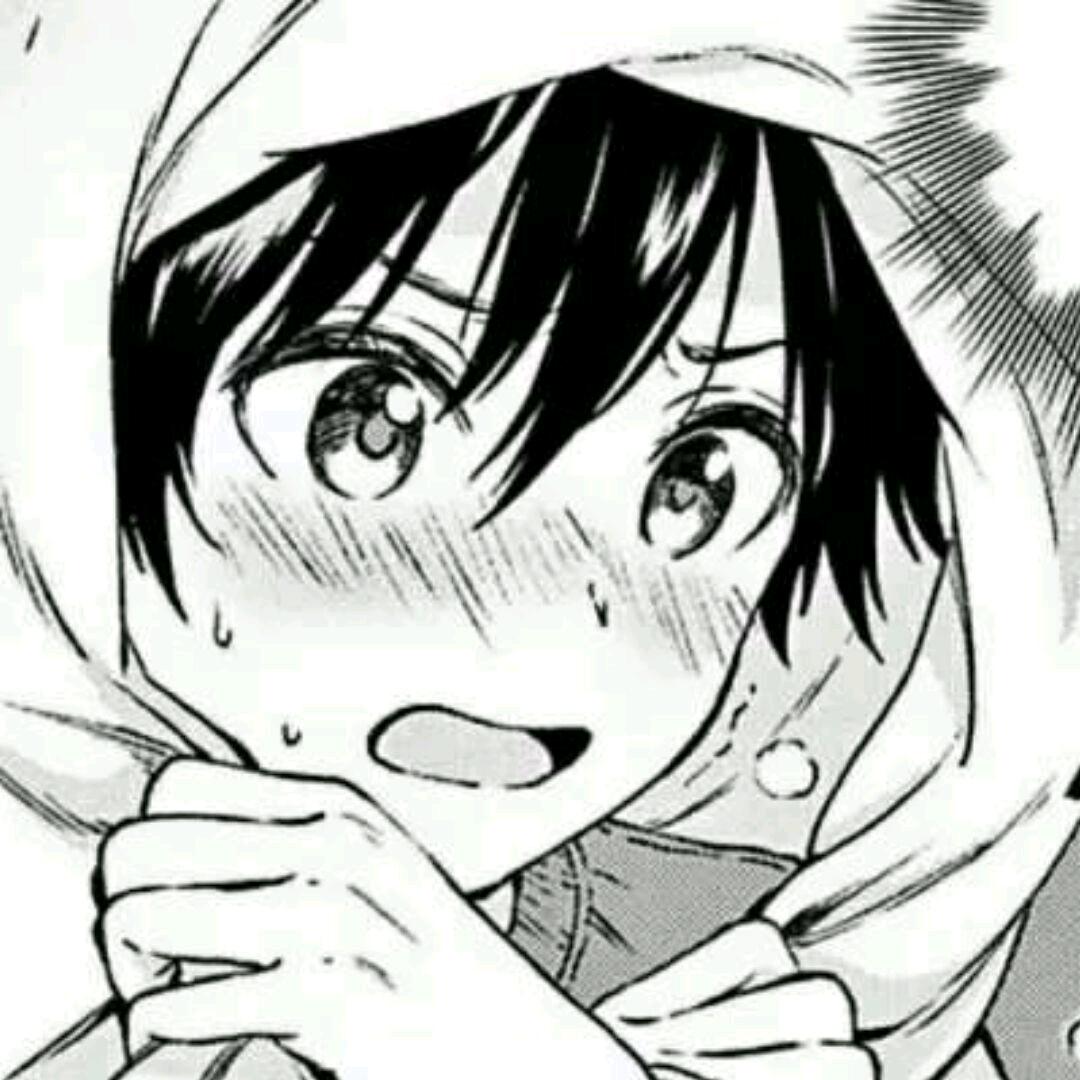 洛泽