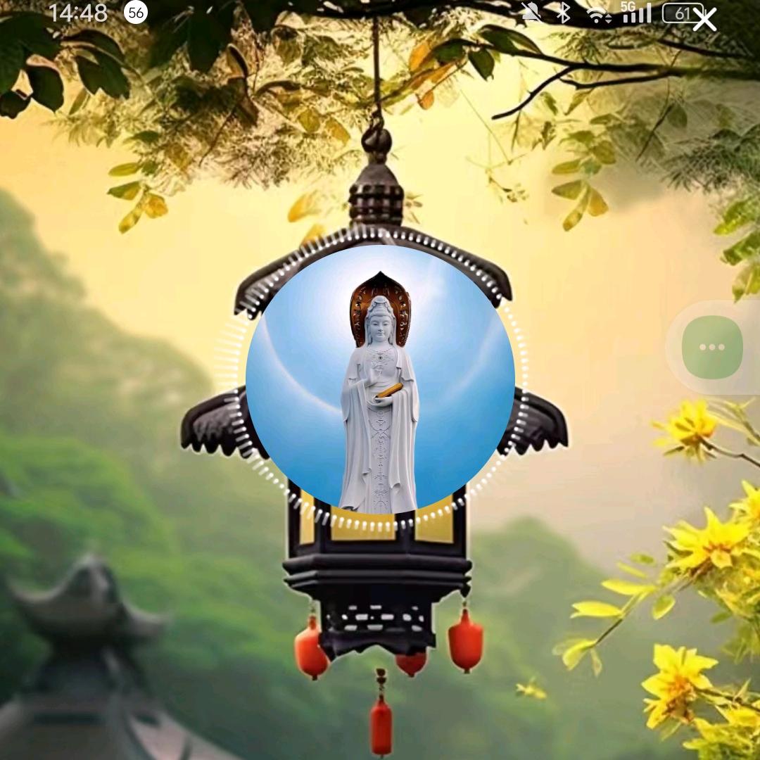 春哥