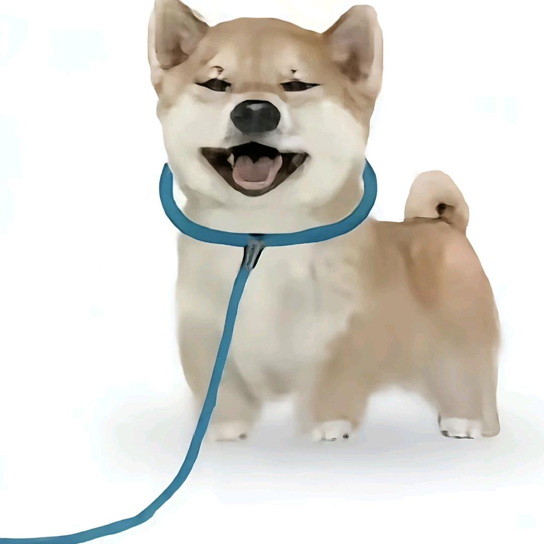 潼潼的独享专属管家（M版）