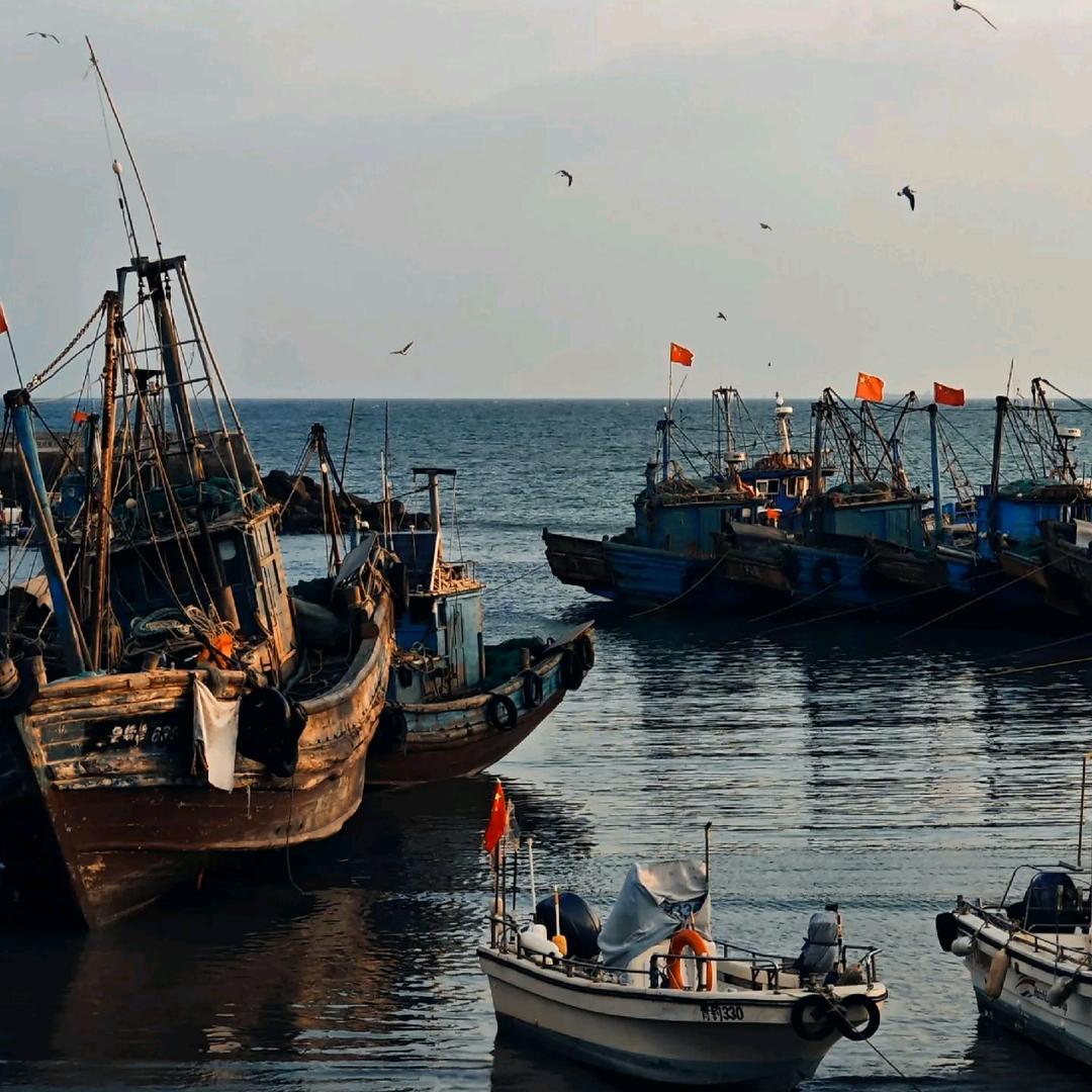 深海渔获记