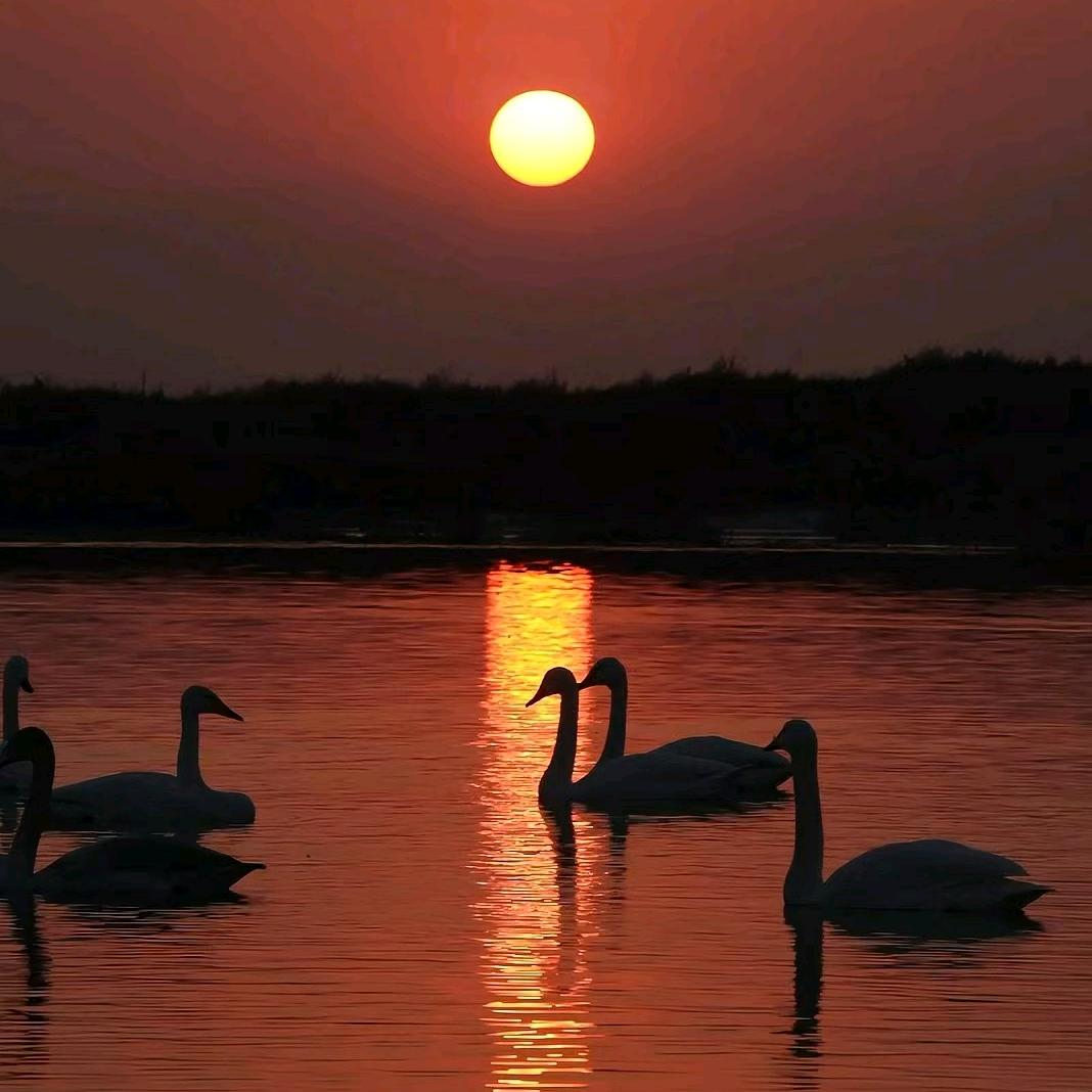90后葡萄技术员小张