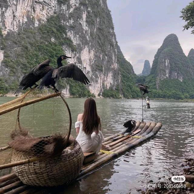 一碗核水喂日本🇯🇵