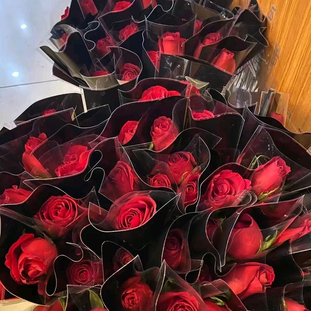 思轩宝贝（拒绝私聊）