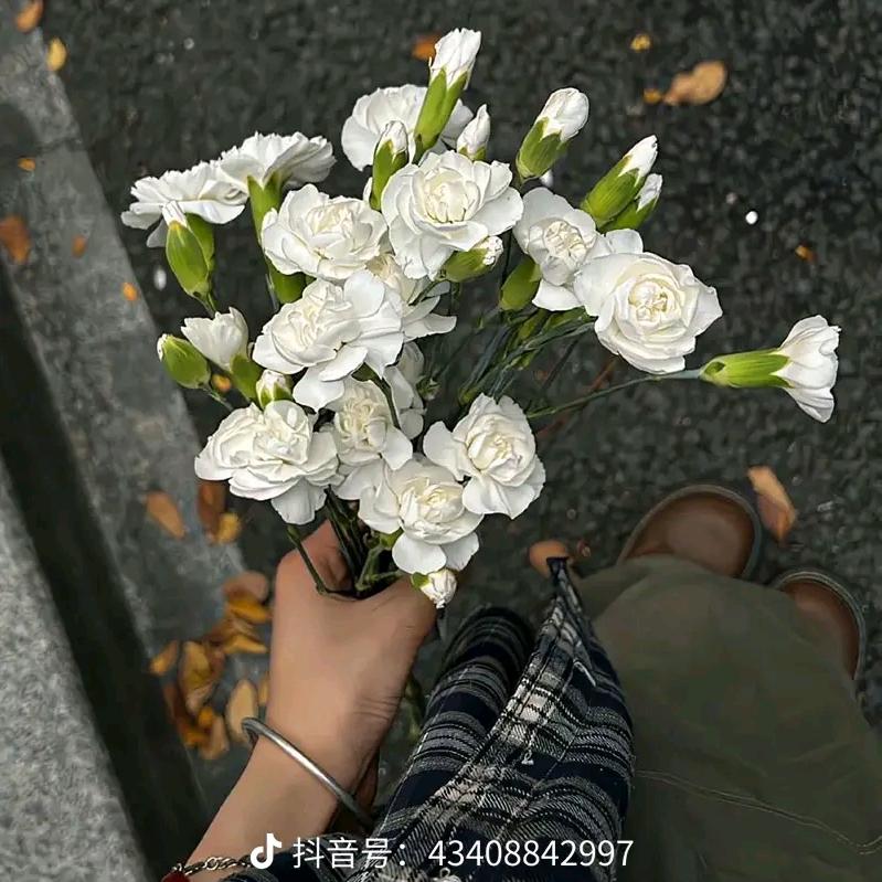 众里寻他千百度1