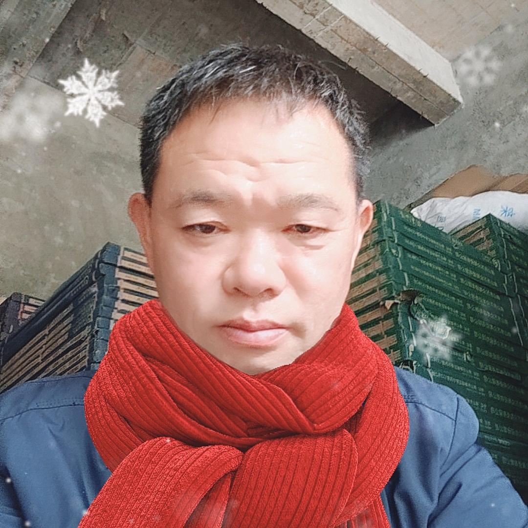 柏丽丝瓦，胜哥