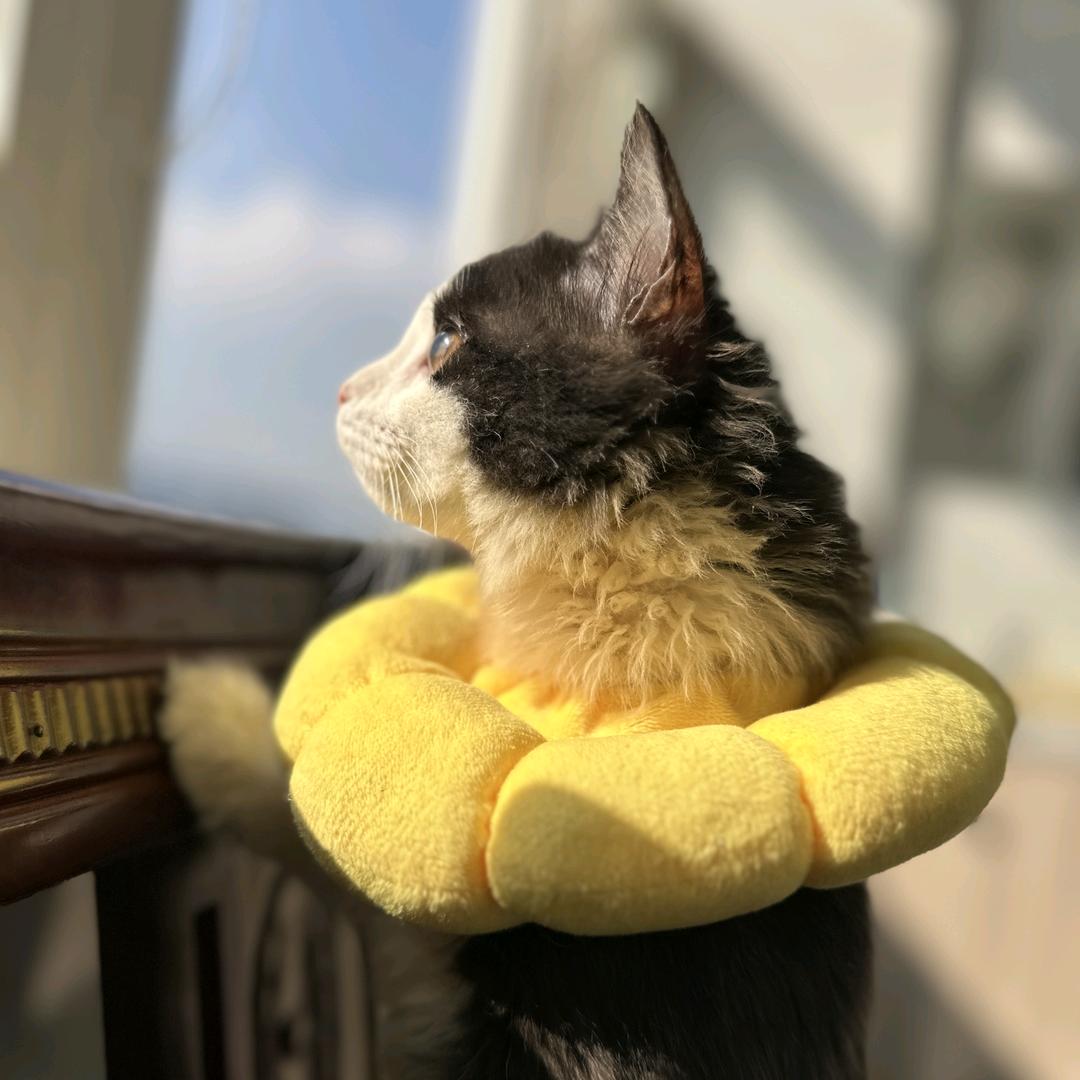 🌈我喜欢上班上班使我快乐我爱上班