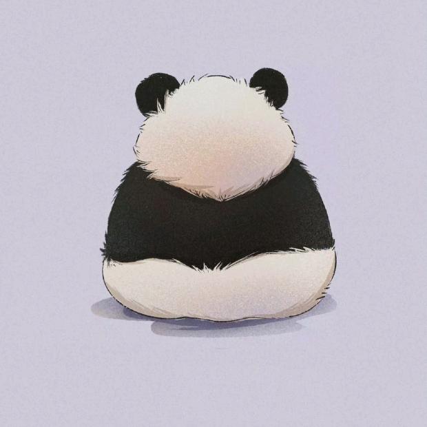 鲸鲸