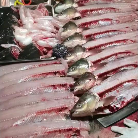 鱼片小哥