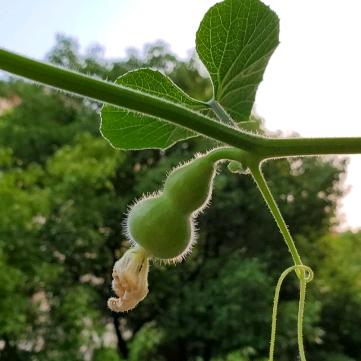 感悟