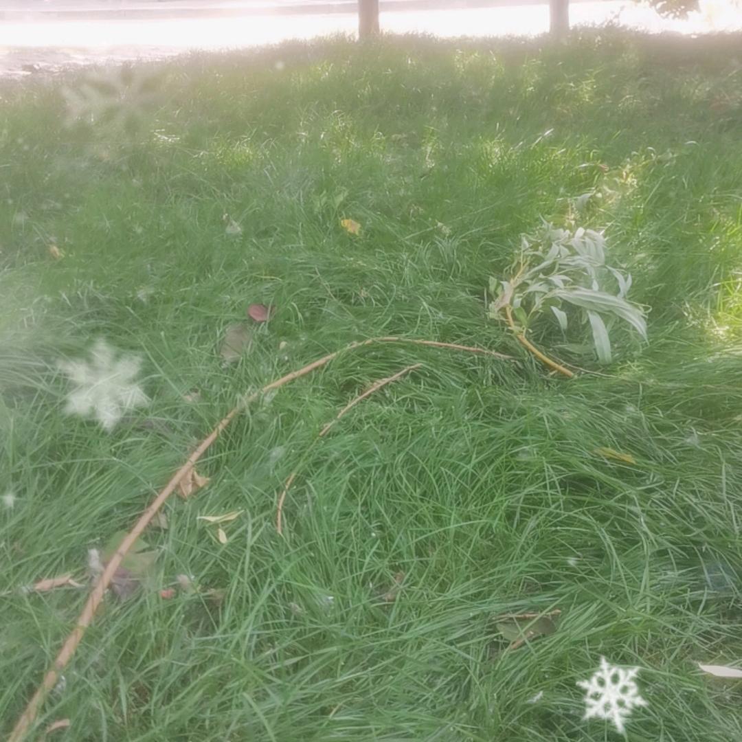 快乐就好！！！！