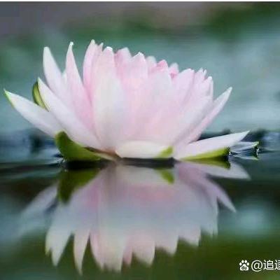 兴，顺
