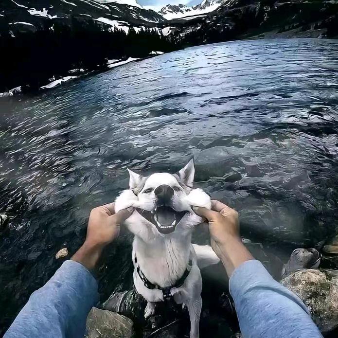 多牛商贸有限公司