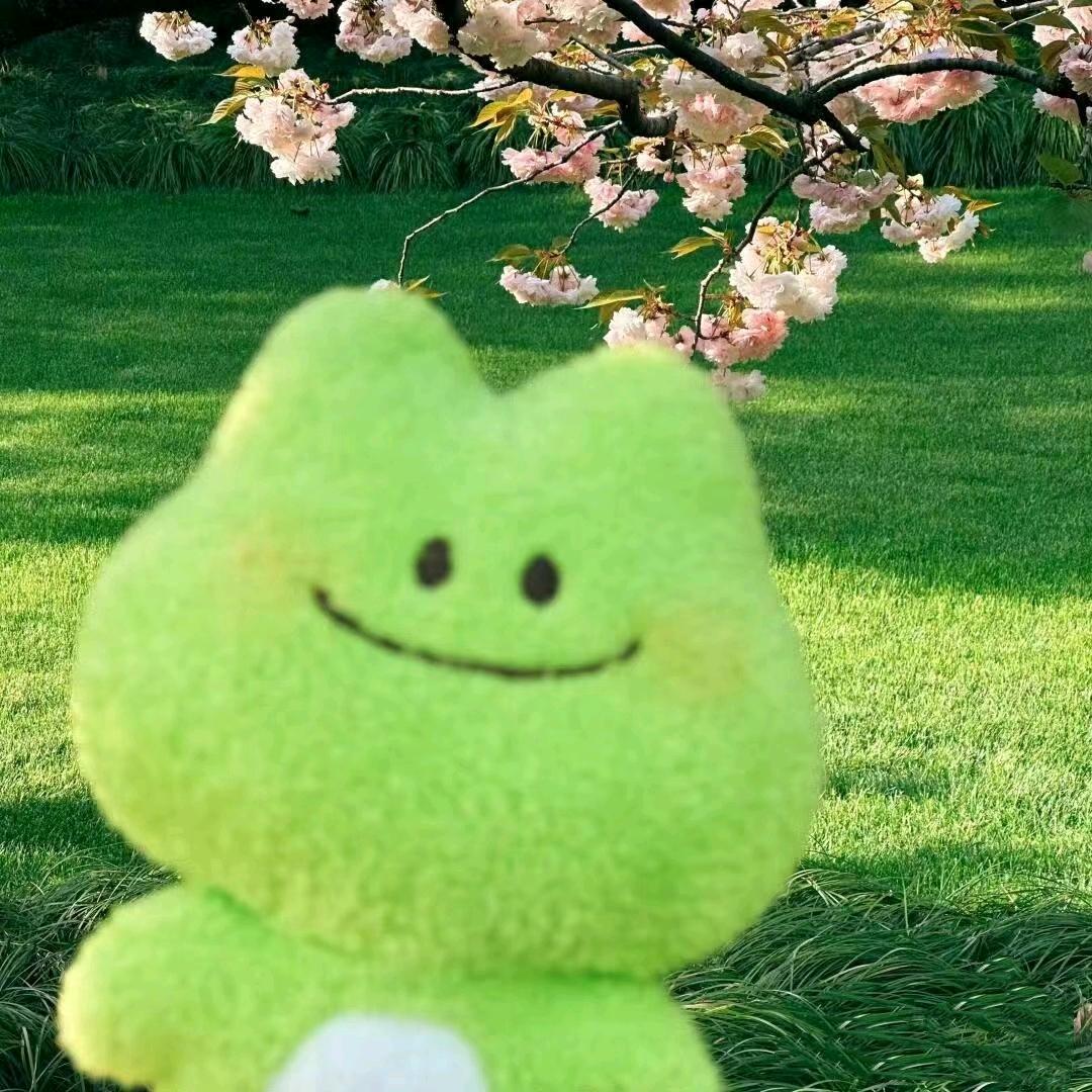 小樱北北