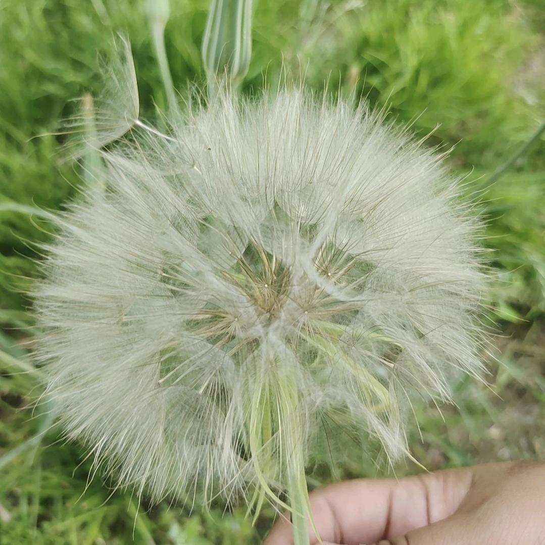 妥协了岁月，释然了过往