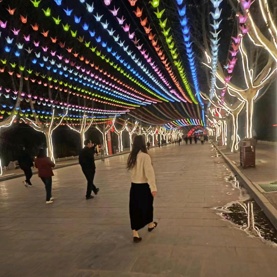 江庄社区1排37小洋楼铁锅炖！