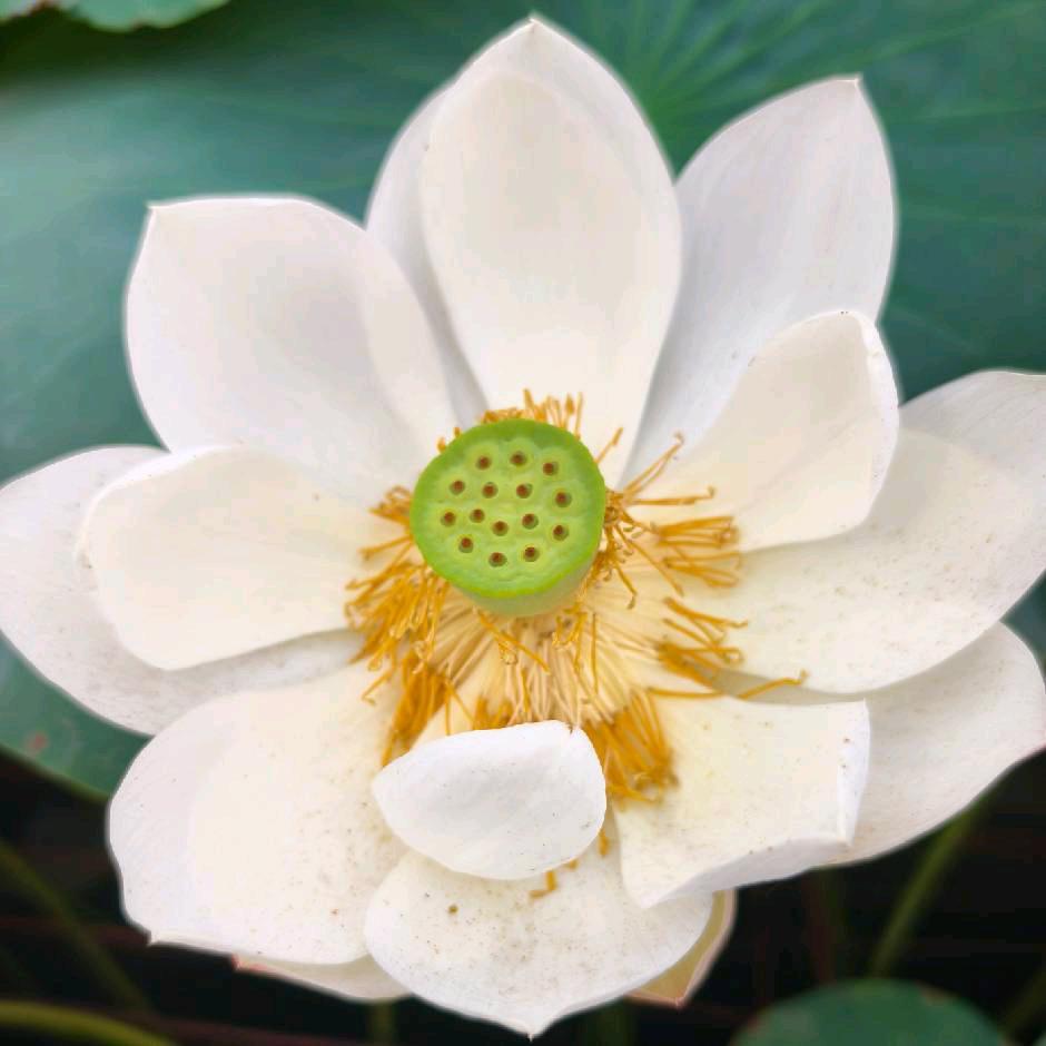 一年又一年！%嘿嘿(*^▽^*)