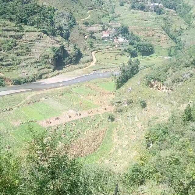 四海为家