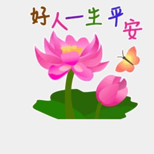 @安心♥️