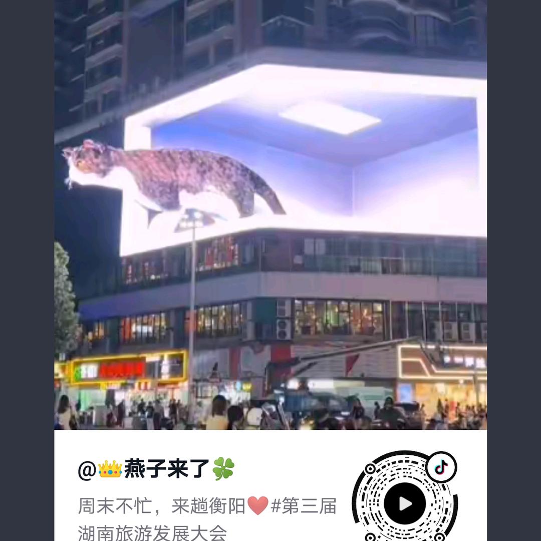 范蓉
