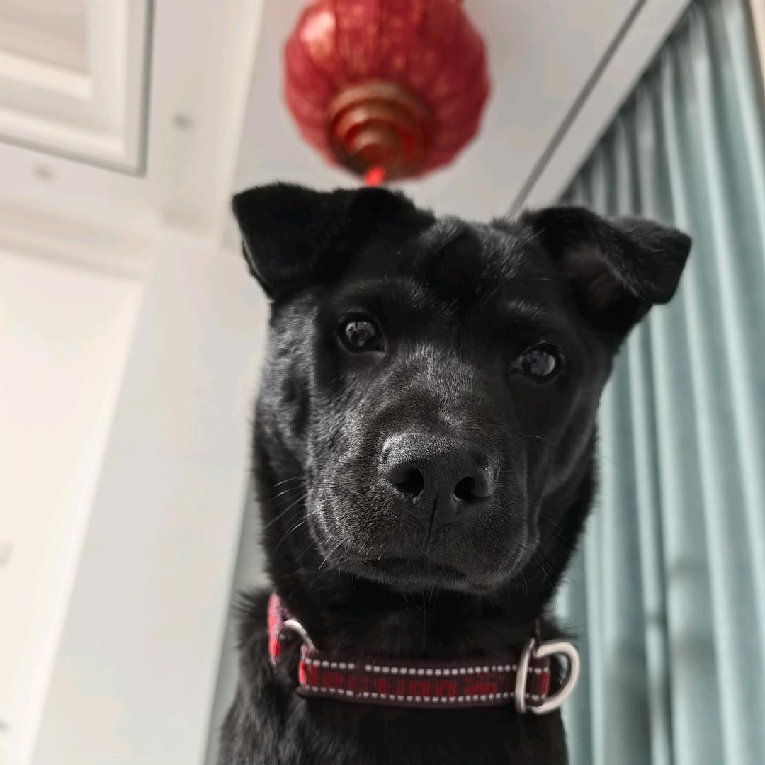 六顺的小日子