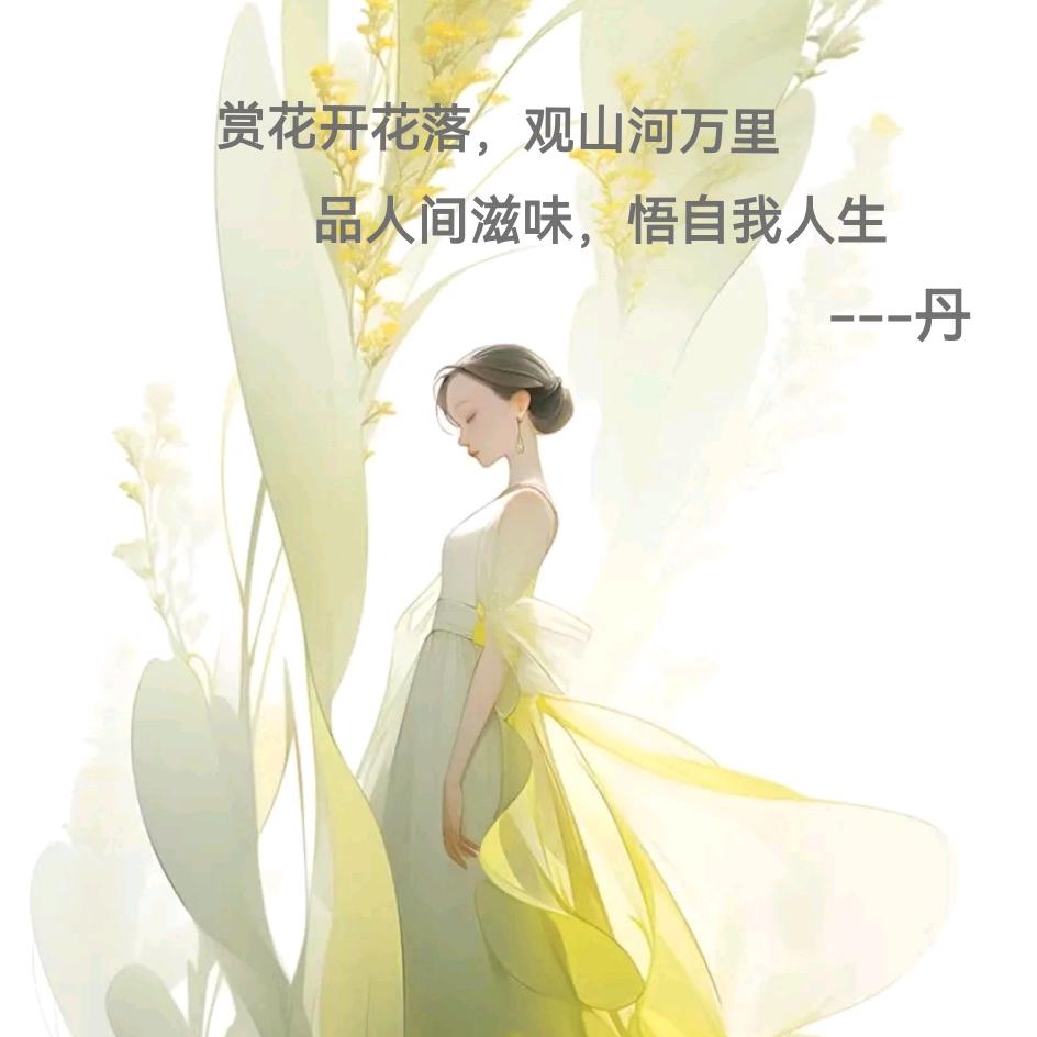 丹儿💞