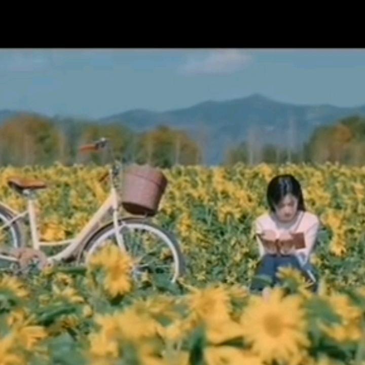 一不小心爱上你