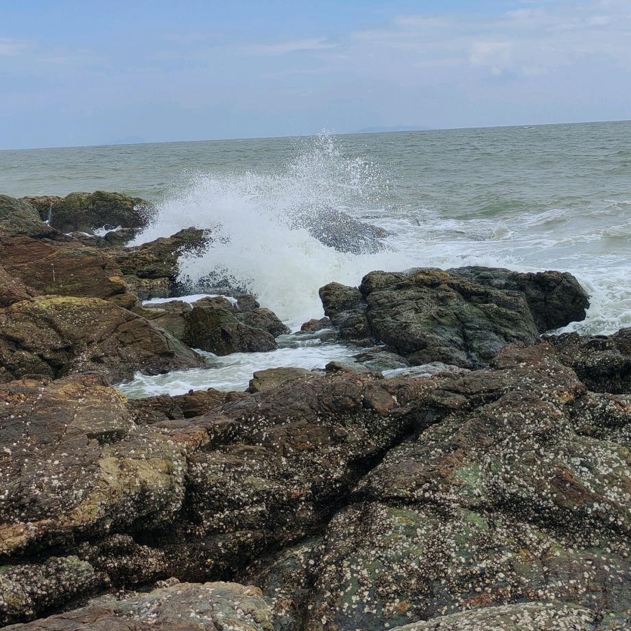 🥀₅²⁰💃赖李一辈子¹ᶟ₁₄