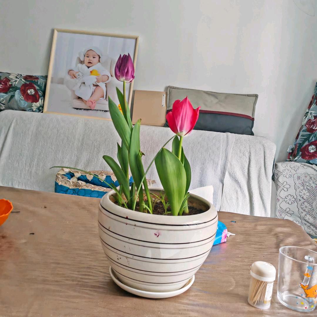 永远（诚信做人）