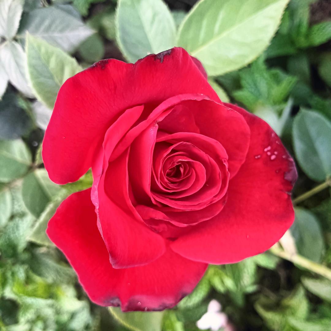 ❀͜͡💓⃨⃰遇̶͜见̶͜❀͜͡