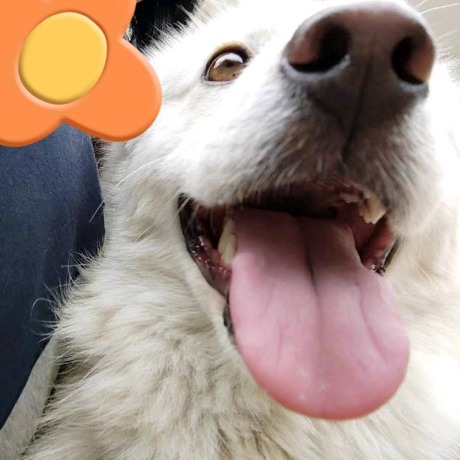 福福福，来来来