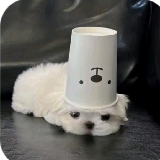 不好