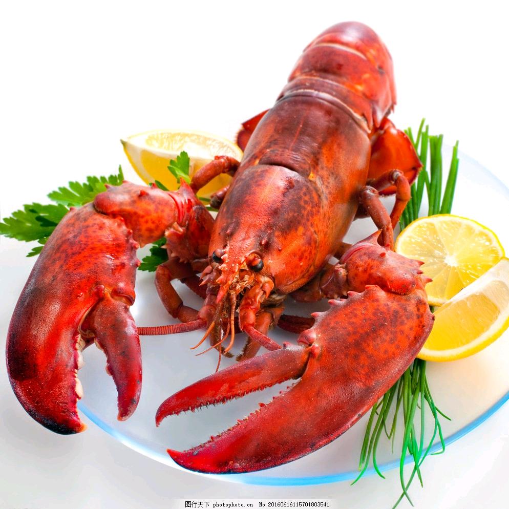 ޓ一只虾搬砖🦐❀༒༺ཌ༈༒༈ད༻、