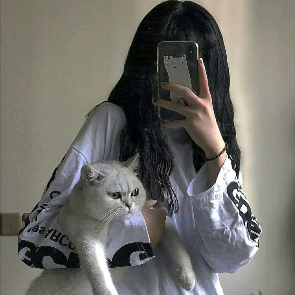 喵喵酱