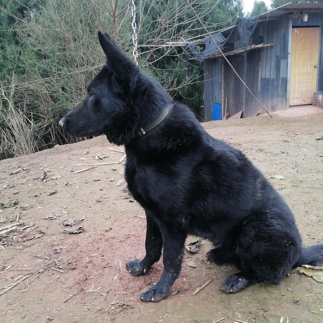 心若止水（请吻连赞）