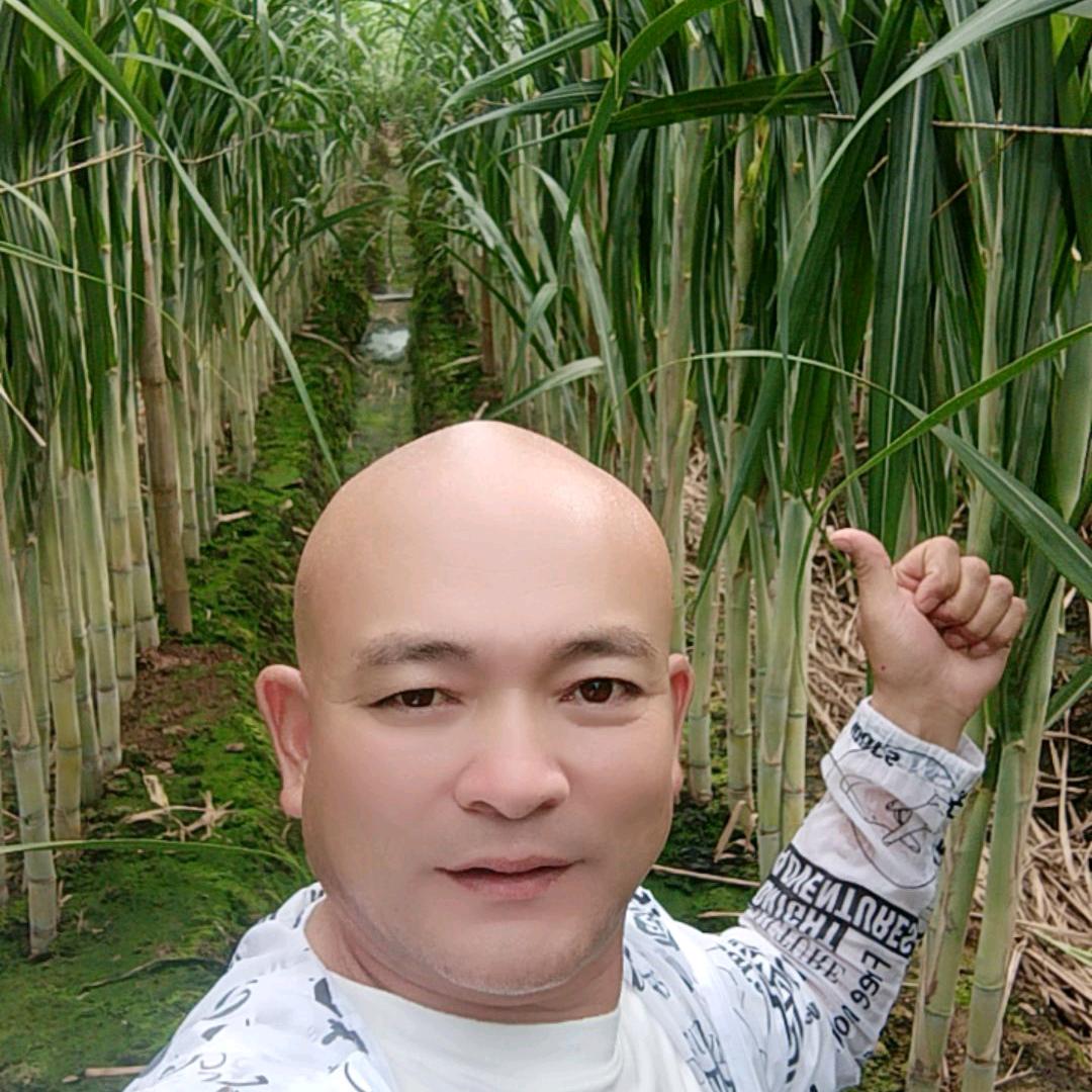 杰哥～唯有努力（厨窗有西双版纳新鲜水果）