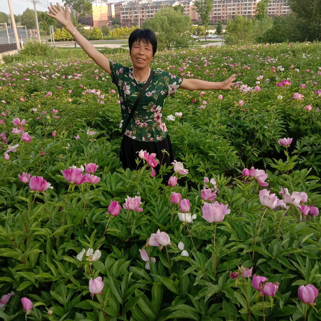 用户7805533844936
