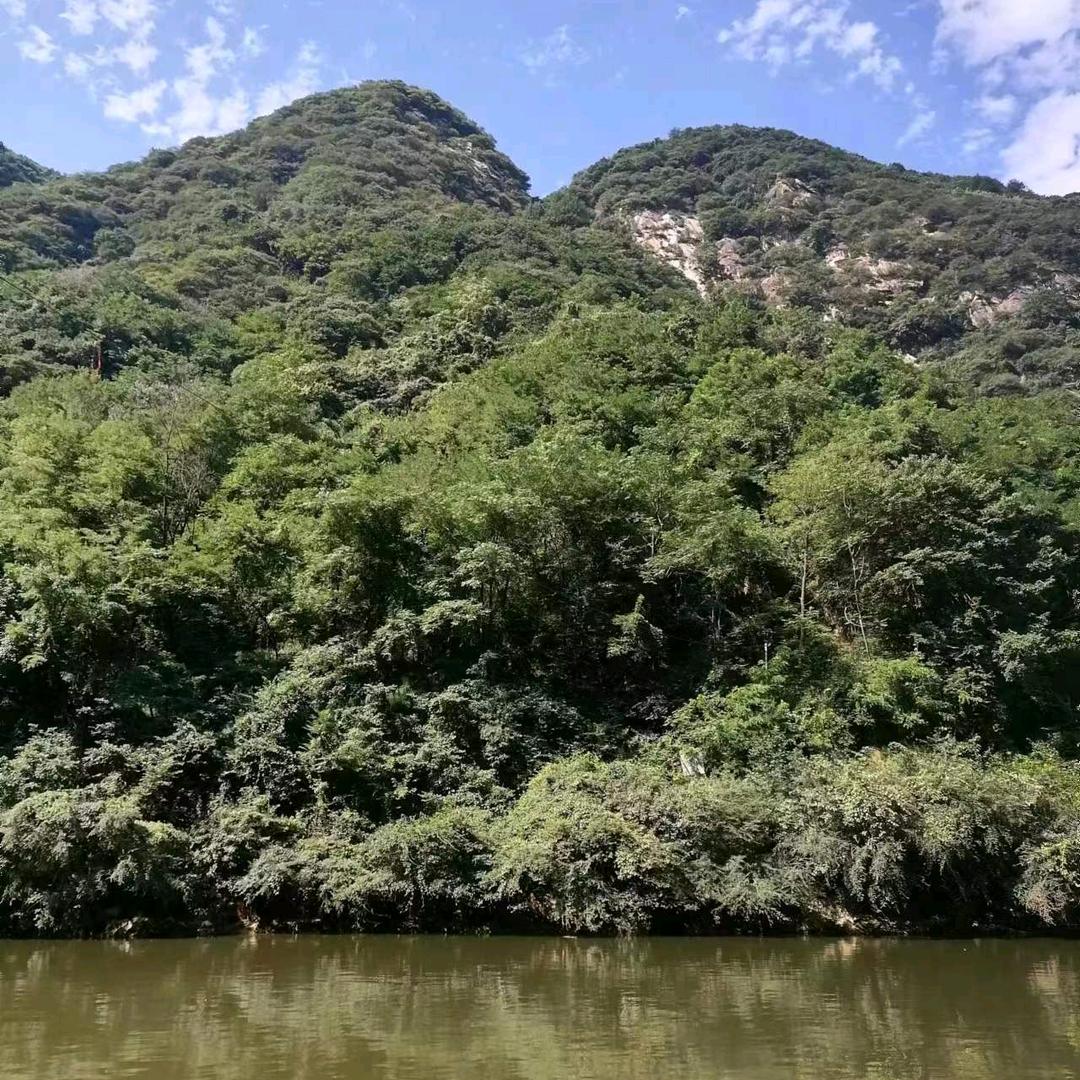 一生所爱