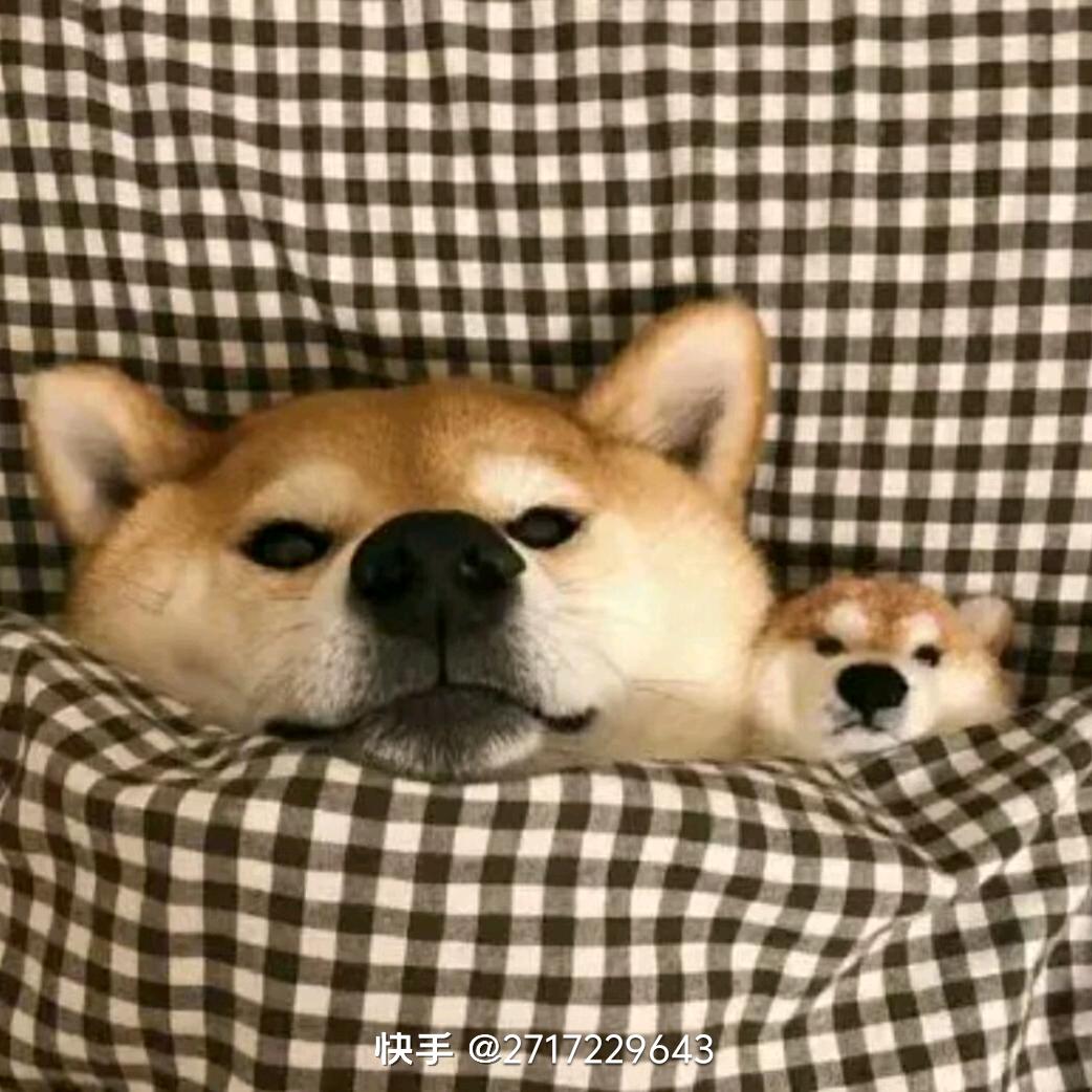 村头一枝花