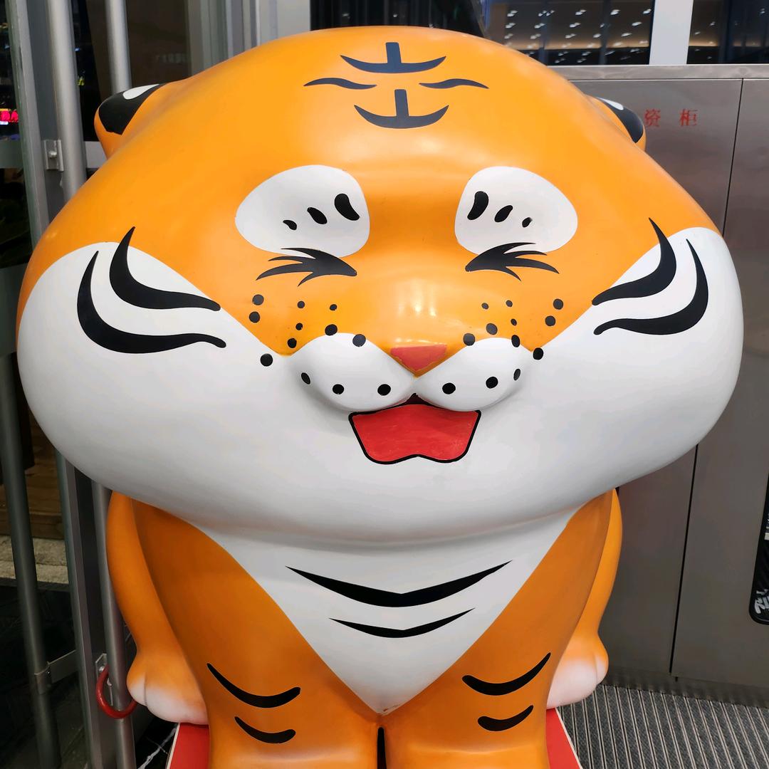 小月月
