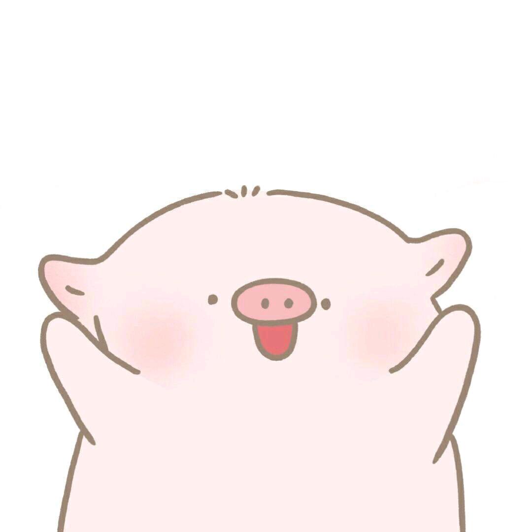 ✨⭐