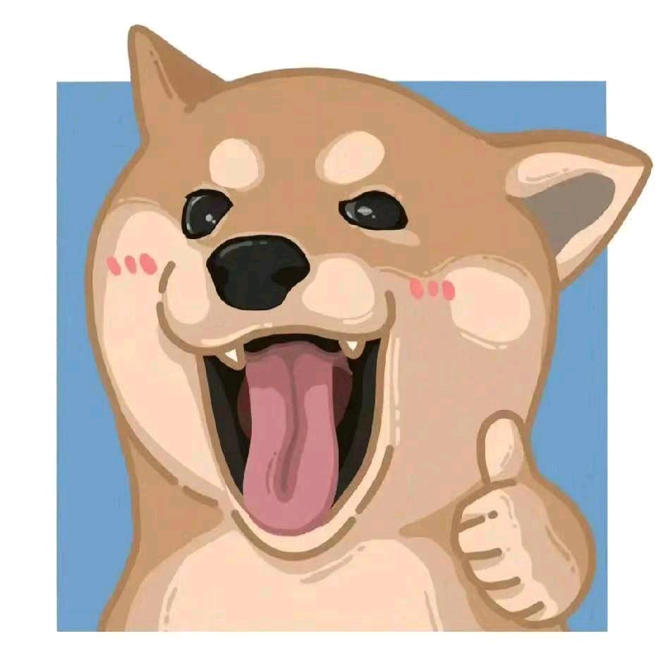 大金砖