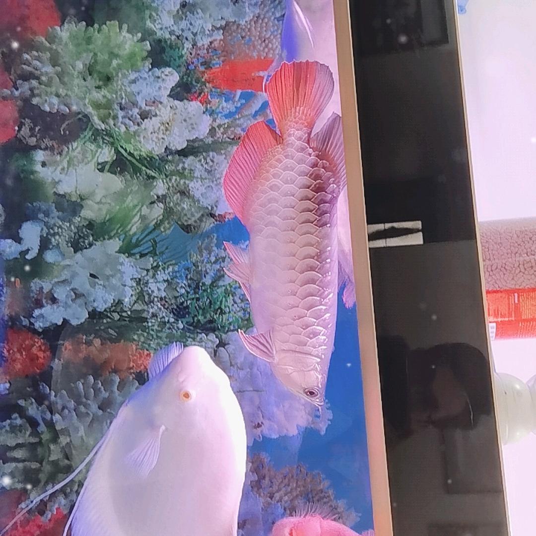 부자 되세요MA