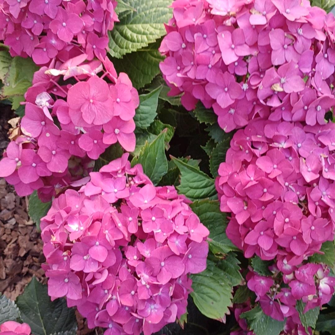 余生爱财爱己，风生水起