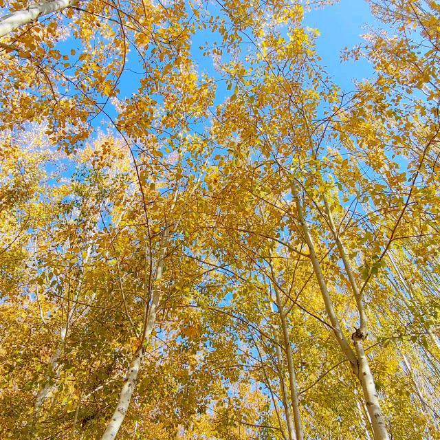 @爱咋咋地(*^_^*)