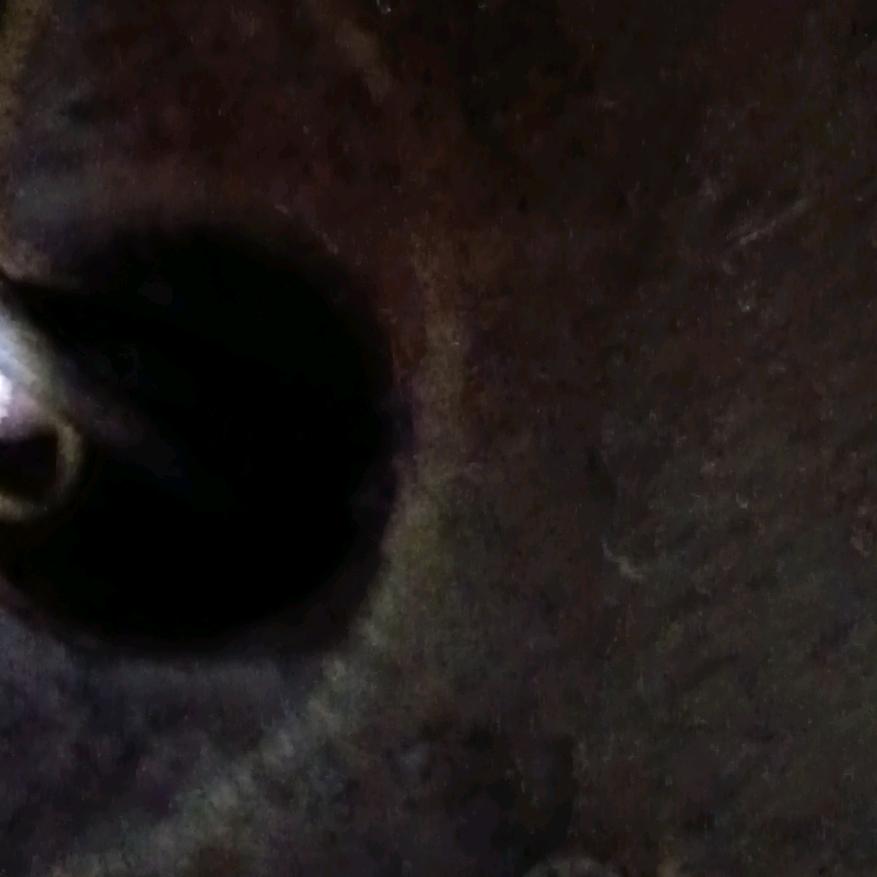 我发挥早点儿这个连续什么时候？什么时候开